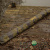 Камуфляжный зонт Solar Undercover Camo 60 inch Brolly Камуфляжный зонт Solar Undercover Camo 60 inch Brolly