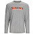 Футболка (лонглсив) Simms Logo LS Shirt, серый