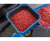 Контейнер для приманок Preston 4 Pint Bait Tub