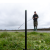 Маркерные колышки Korum Distance Marka Sticks Маркерные колышки Korum Distance Marka Sticks