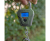 Компактные электронные весы Korum Compact Digital Scales