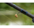 Фидерное удилище Preston Supera X Feeder Rods 11ft
